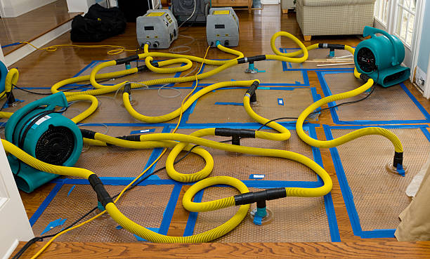 Professional Flood Damage Restoration technician working in Taylor, AZ